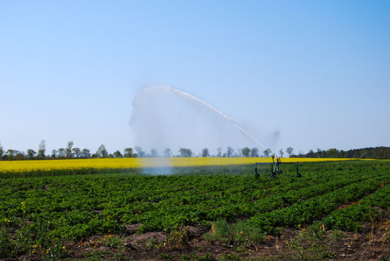 Irrigation av a rural plantation